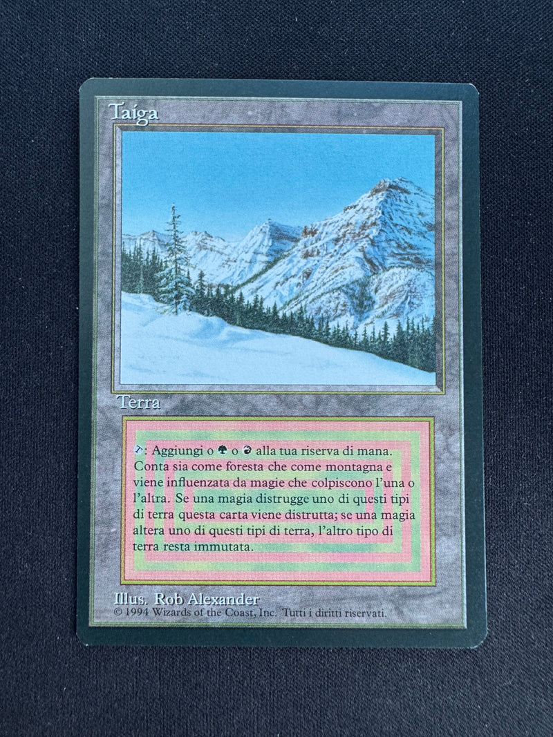 Taiga (FBB)