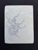 Cursed Land (Gamma Playtest)