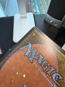 Ali from Cairo (ARN)