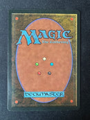 Tropical Island (REV)