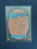 Mirror Universe (LEG)