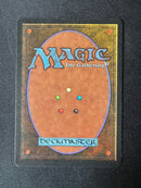 Tropical Island (REV)