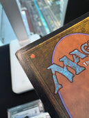 Ali from Cairo (ARN)