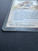 Savannah Lions (LEA)