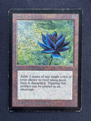 Black Lotus - Beta Edition