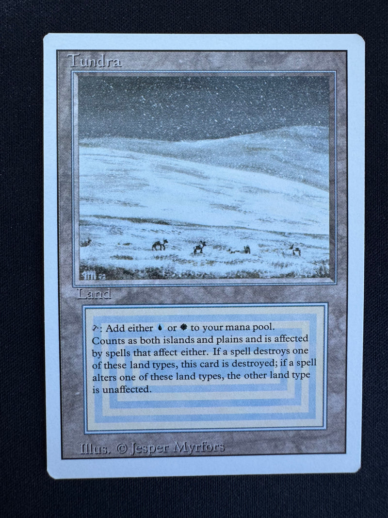 Tundra (REV)