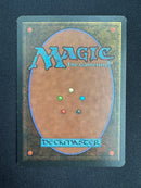 Mirror Universe (LEG)