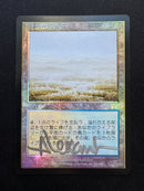 Flooded Strand Foil (ONS)