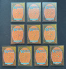 Revised Edition Dual Land Set (10 cards)