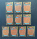 Revised Edition Dual Land Set (10 cards)