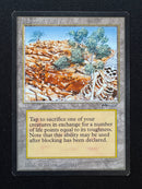 Diamond Valley (ARN)