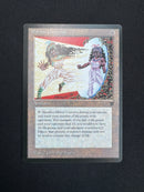 Mirror Universe (LEG)