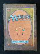 Beta Edition Starter Deck