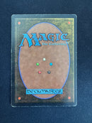 Library of Alexandria (ARN)