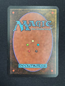 Drudge Skeletons (LEA)