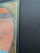 Tropical Island (LEA)