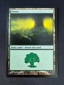 Test Print - M15 - Forest