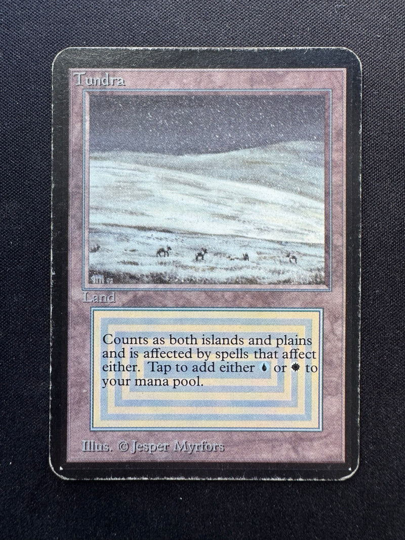 Tundra (LEA)