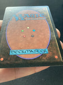 Veteran Bodyguard (LEB)