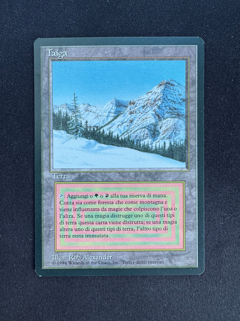 Taiga (FBB)