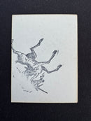 Swamp v.3 (Gamma Playtest)