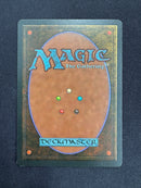 Tropical Island (FBB)