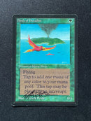 Birds of Paradise (LEB)