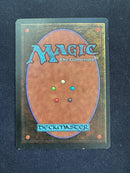 Tropical Island (REV)