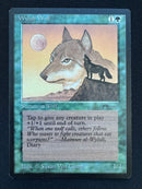 Wyluli Wolf (light) (ARN)