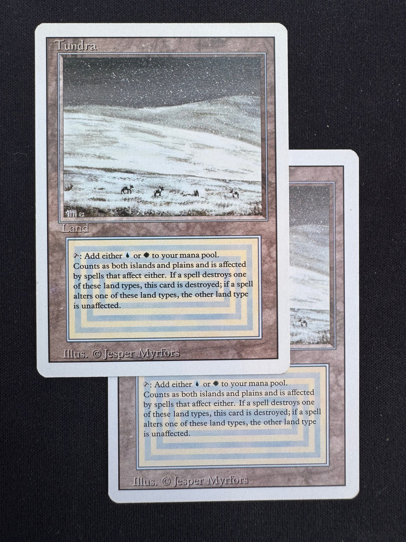 Tundra (REV)