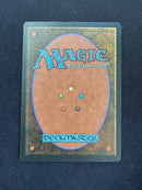 Tropical Island (REV)