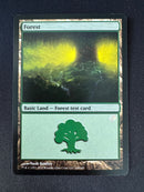 Test Print - M15 - Forest