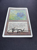 Black Lotus - Unlimited Edition