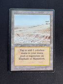 Elephant Graveyard (ARN)