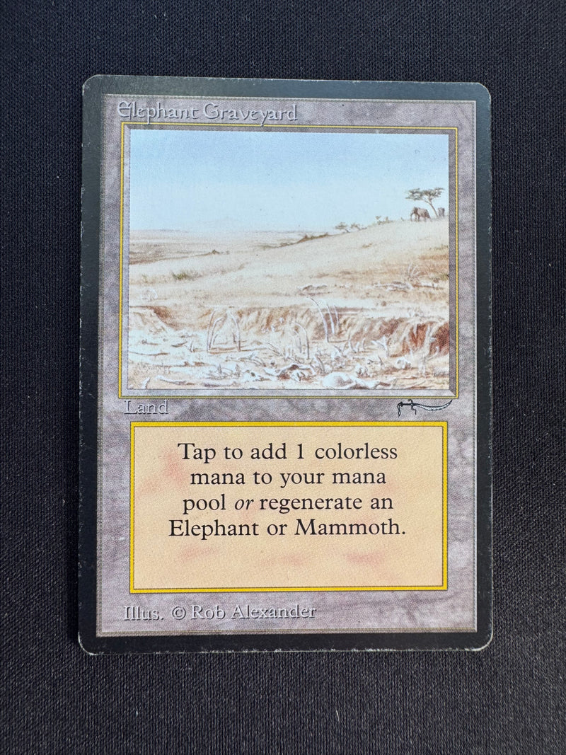 Elephant Graveyard (ARN)