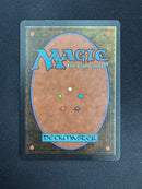 Wyluli Wolf (dark) (ARN)