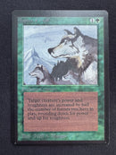 Aspect of Wolf (LEB)