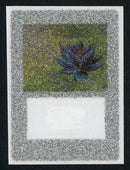 Test Print - Swarovski Crystal - Black Lotus