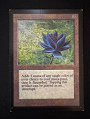 Black Lotus - Collectors' Edition