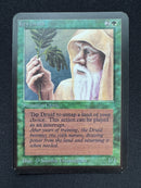 Ley Druid (LEA)