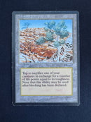 Diamond Valley (ARN)