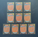 Revised Edition Dual Land Set (10 cards)