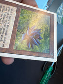 Black Lotus (UNL)