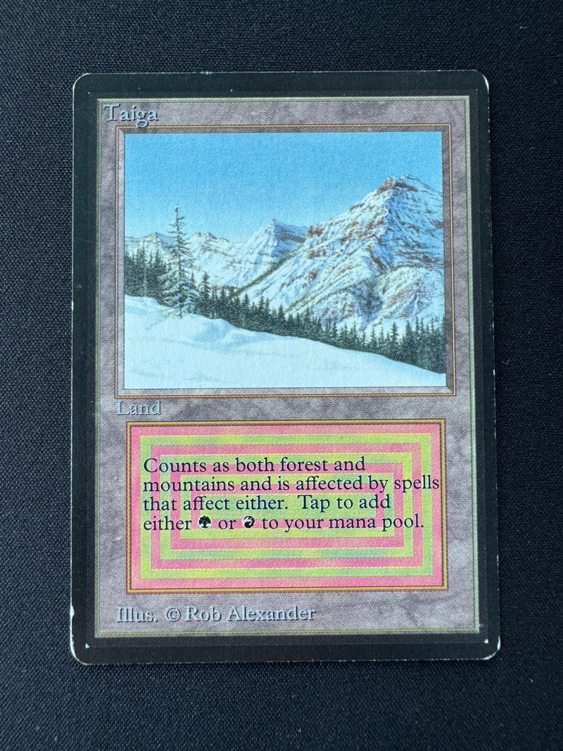 Taiga (LEB)