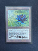 Black Lotus (CED)