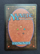 Aspect of Wolf (LEB)