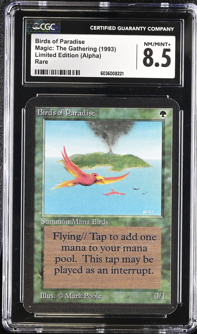 Birds of Paradise (LEA)