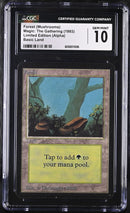 Forest (A) - Rocks (LEA)