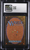 Forest (A) - Rocks (LEA)