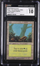 Forest (A) - Rocks (LEA)